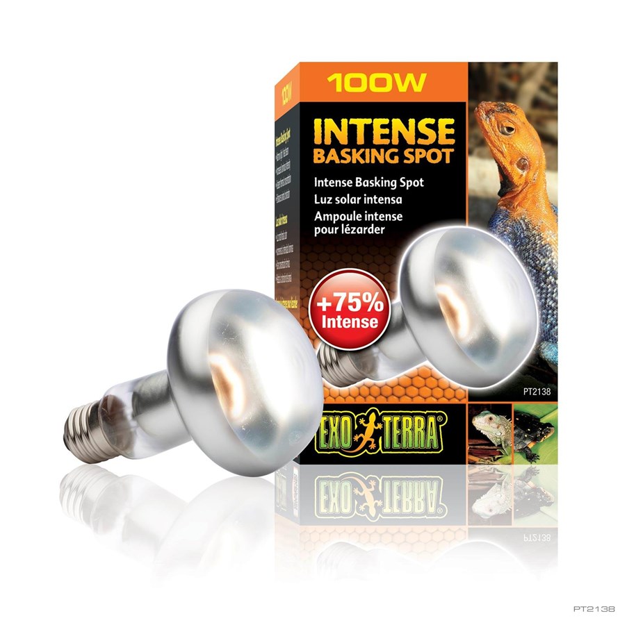 Uppvärmning/Ljus - EXO TERRA Intense Basking Spot 100W - PT2138