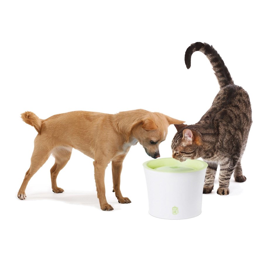 Katter - Catit Design Hvid/Lime Drikkefontæne 3 ltr. - 55600
