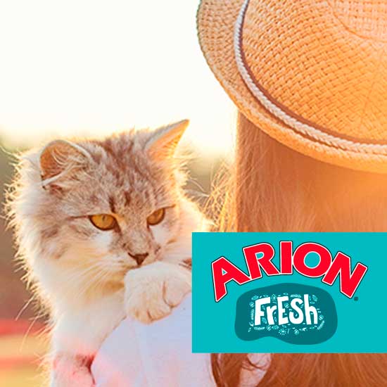 Arion Fresh katt