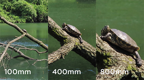 Canon Power Shot Zoom 
