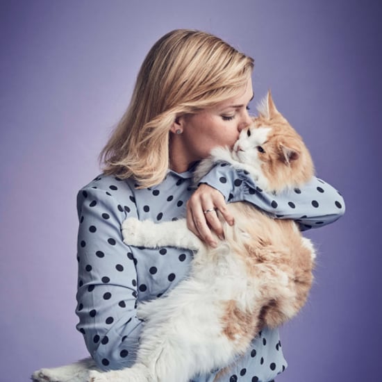 Katter