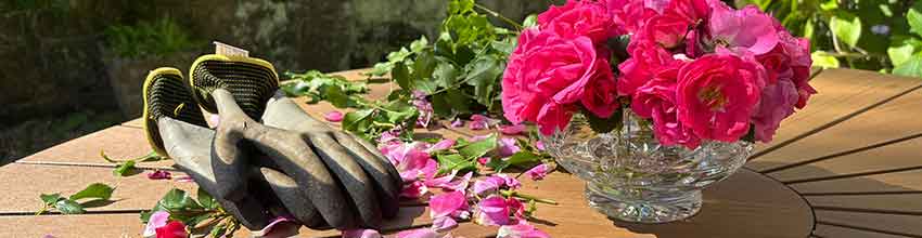 Trädgårdshandskar och sekatör ligger utomhus på ett runt träbord, med en vas av rosa blommor.