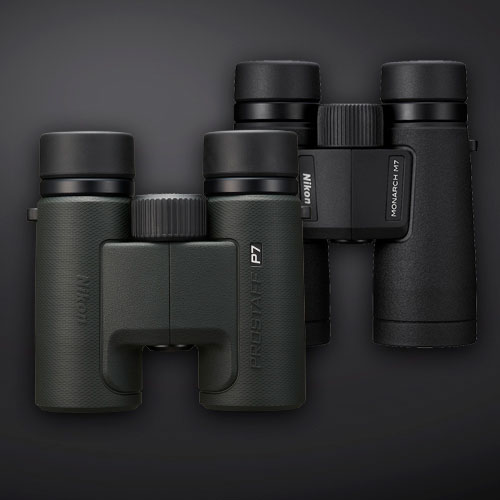 Nikon-kikare