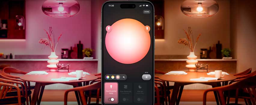 Essential Bulbs Lifestyle