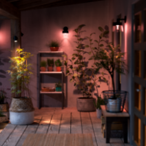 Philips Hue No bluetooth for outdoor