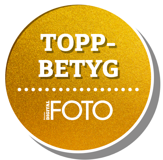 Topscorer Sweden