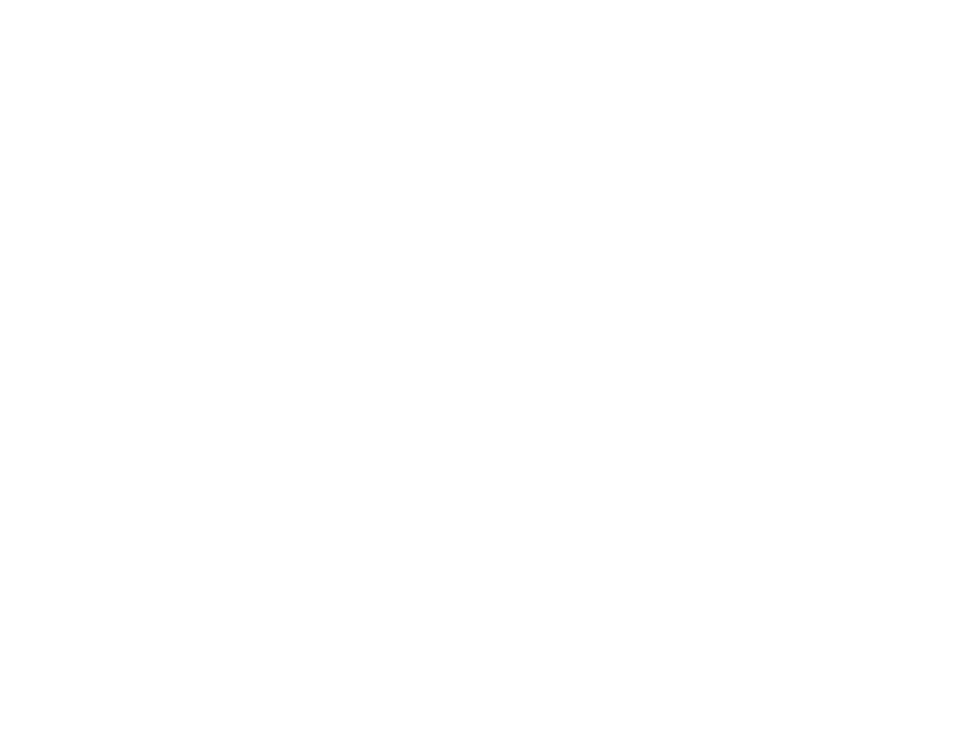 Never Settle Logo