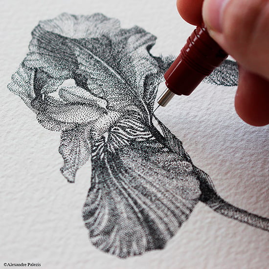rOtring Isograph